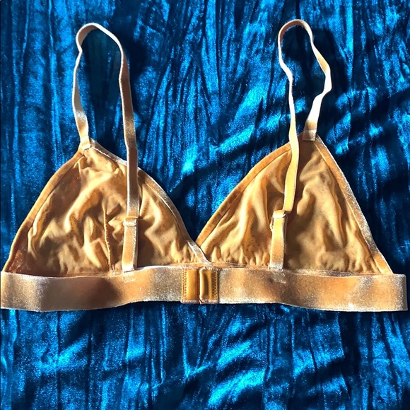 Shimera Yellow Lace Velvet Bra Mustard Yellow - Picture 6 of 9